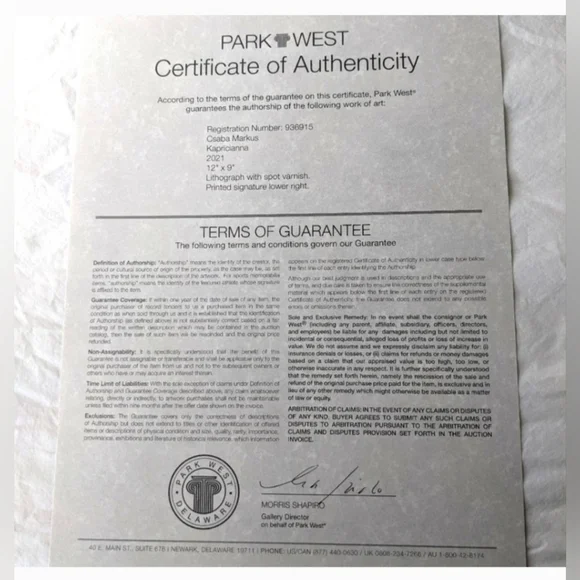 Csaba Markus 12”x9” Print - Kapricianna art - Picture 6 of 6